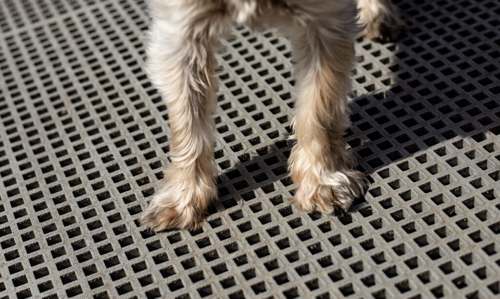 Mini Mesh roosters geschikt voor dierenpootjes